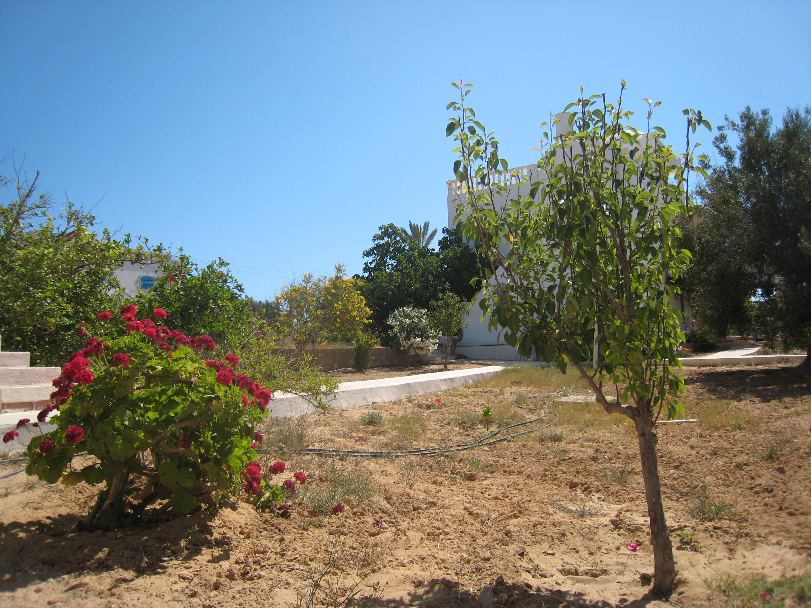 ranch_tanit_djerba 604