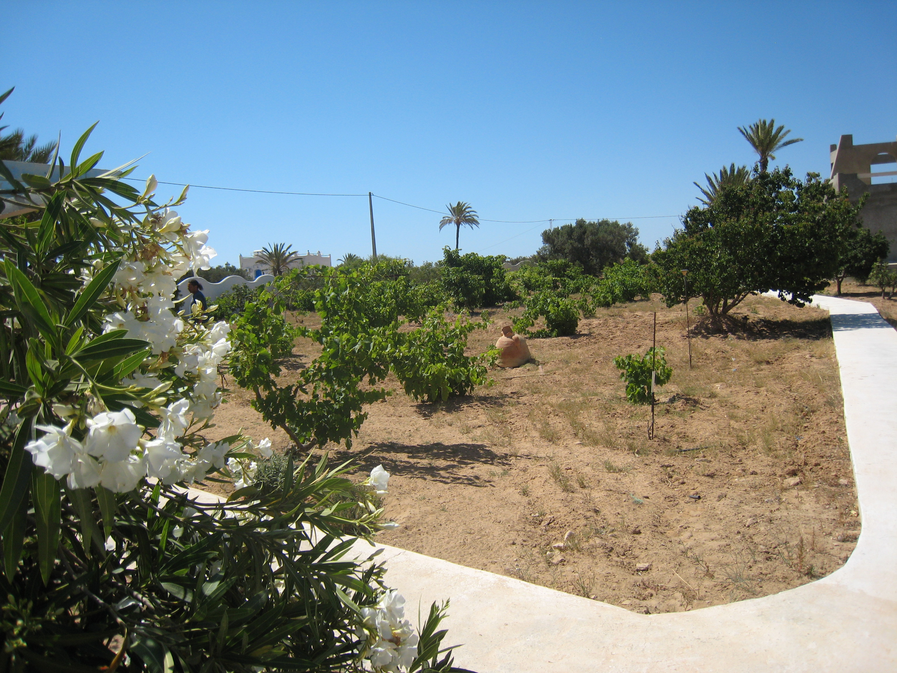 ranch_tanit_djerba 609