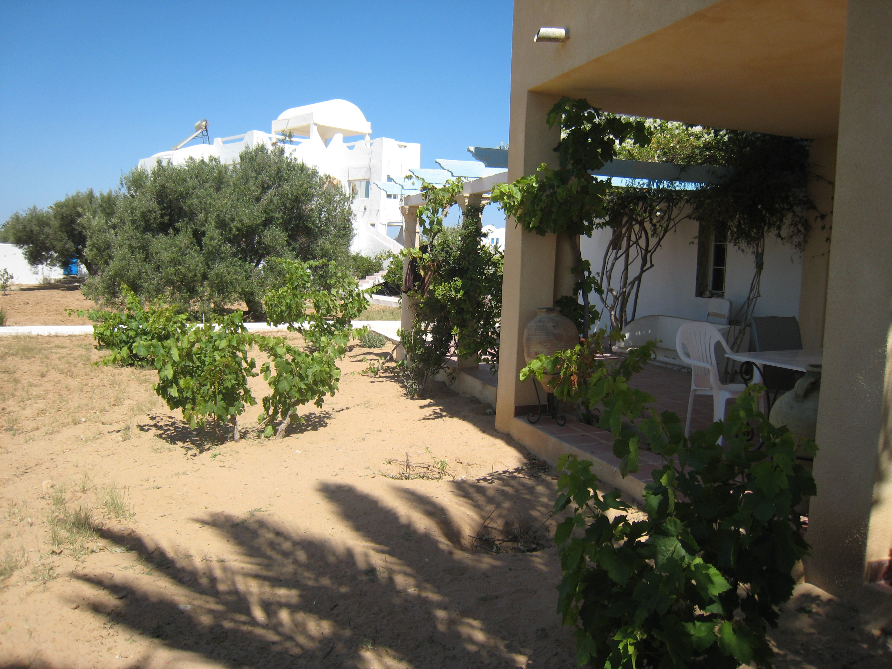 ranch_tanit_djerba 624