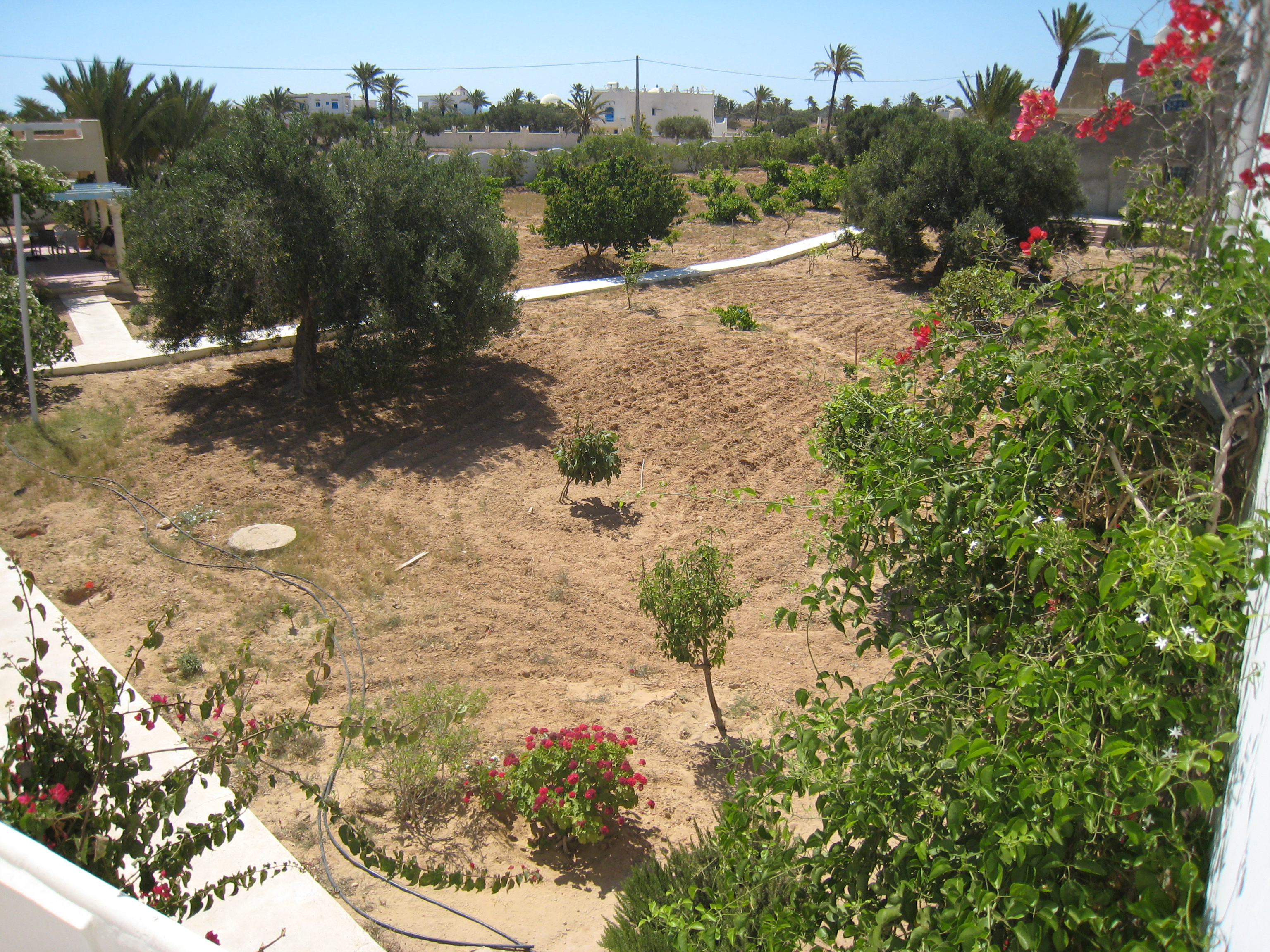 ranch_tanit_djerba 676