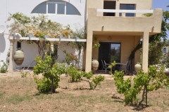 Maison d'hôtes Tanit Djerba 5