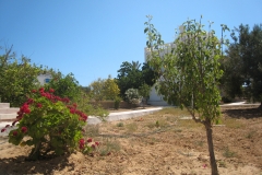 ranch_tanit_djerba 604