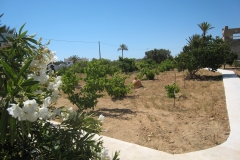 ranch_tanit_djerba 609