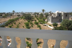 ranch_tanit_djerba 637