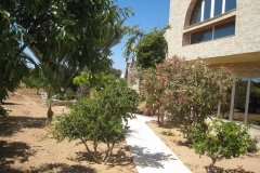 ranch_tanit_djerba 647