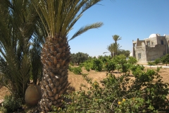 ranch_tanit_djerba 681