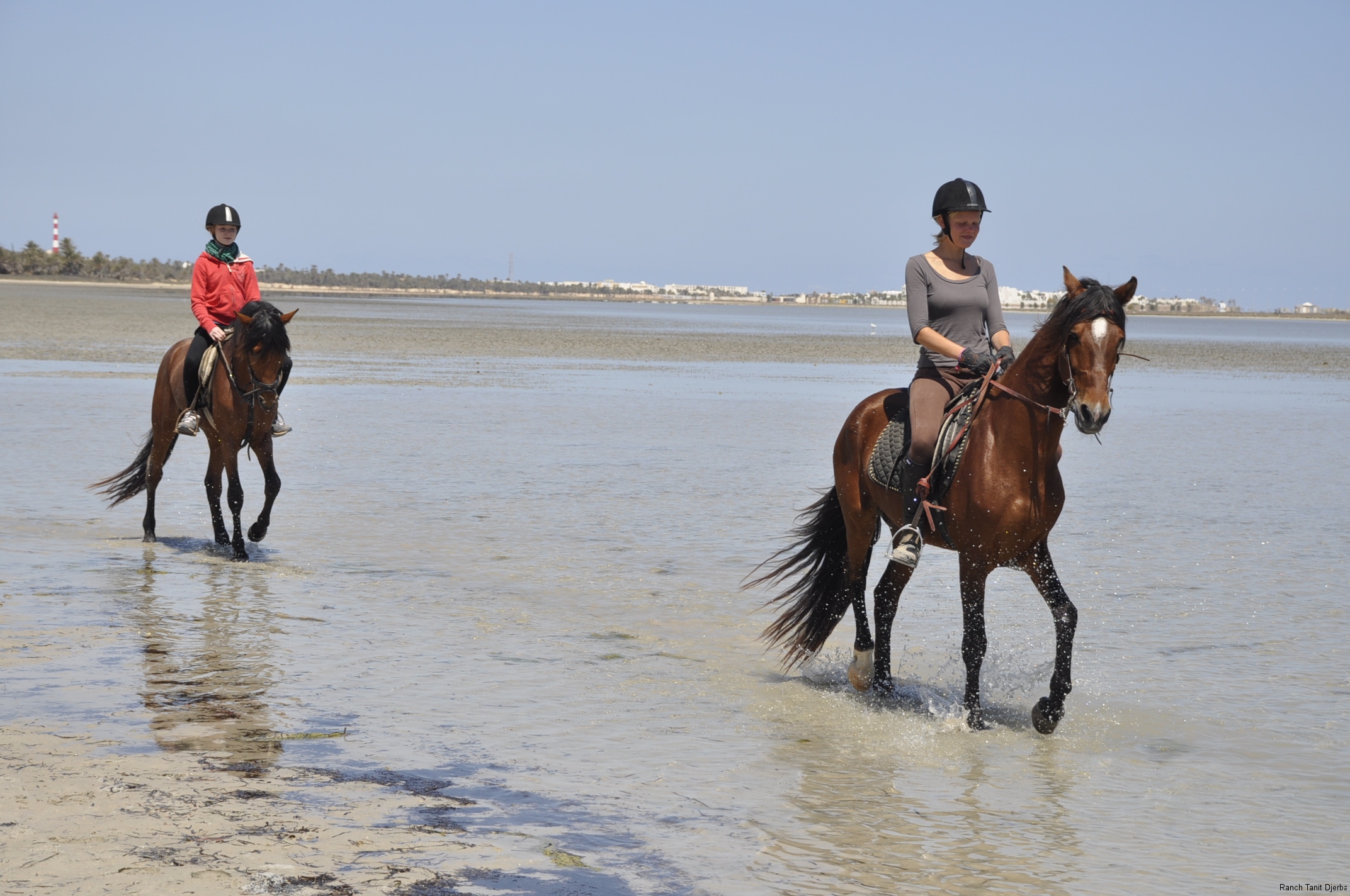 Ranch Tanit Djerba 2