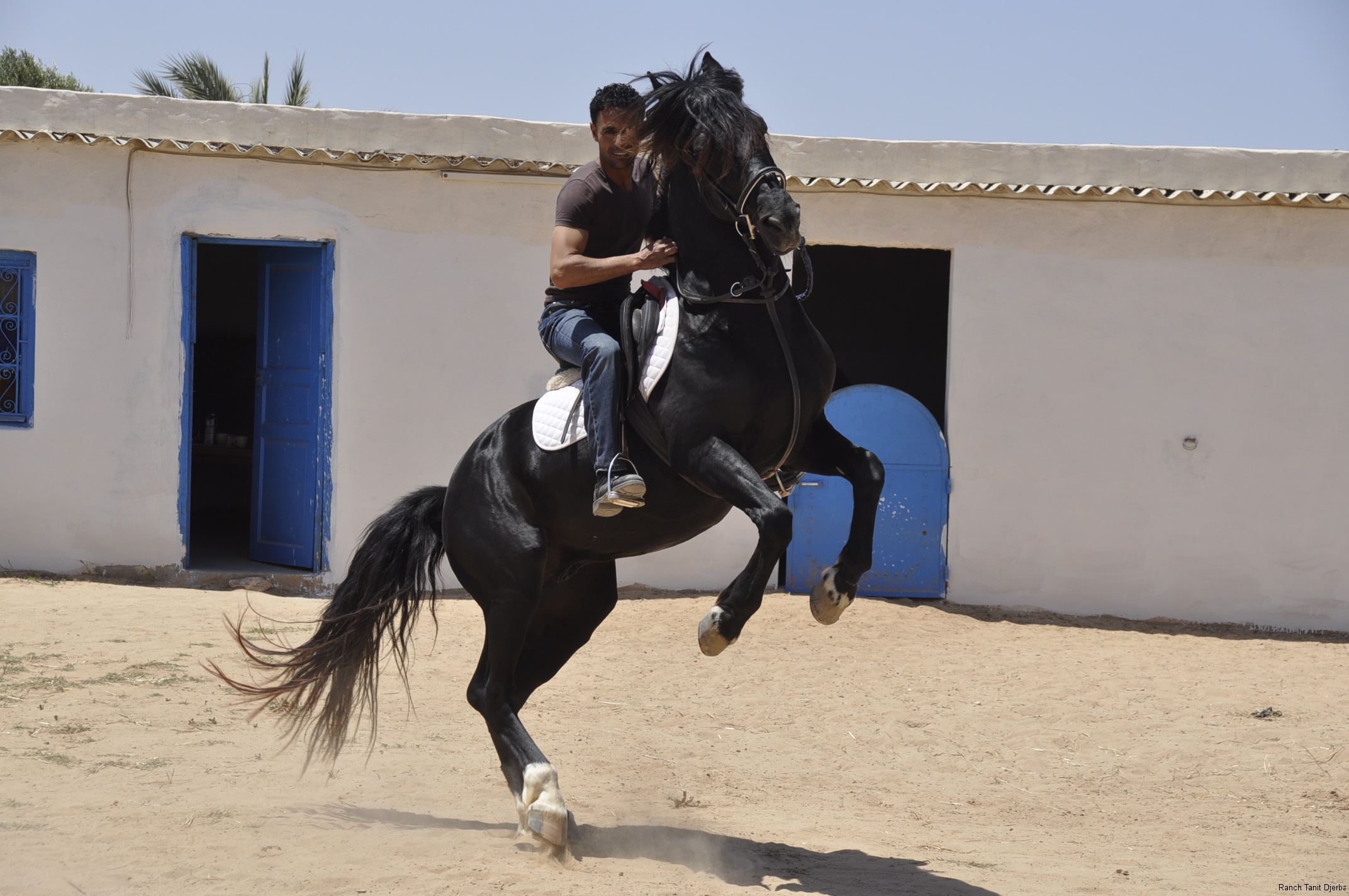 Ranch Tanit Djerba 14