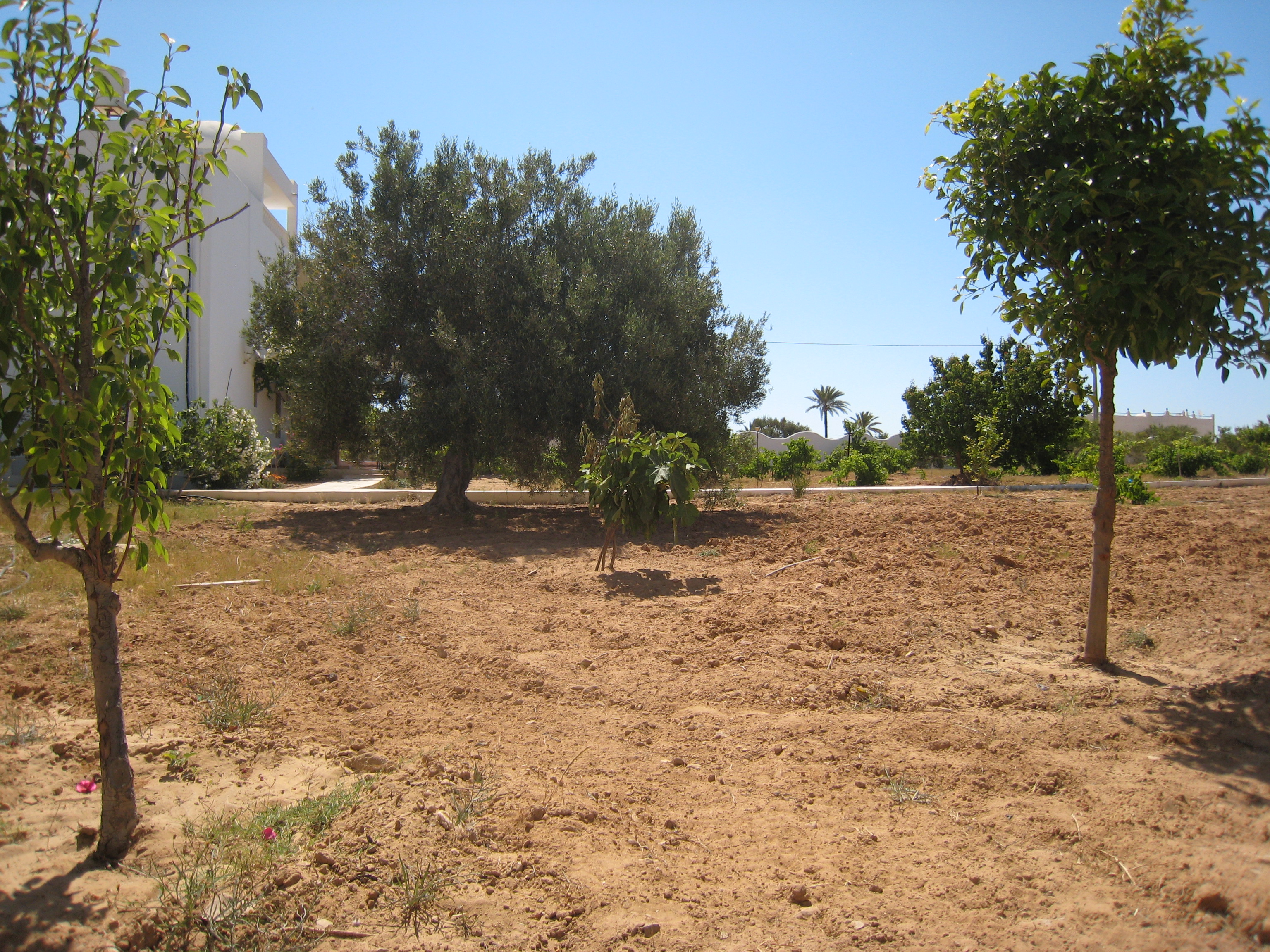 ranch_tanit_djerba 605