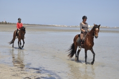 Ranch Tanit Djerba 2