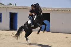 Ranch Tanit Djerba 14