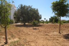 ranch_tanit_djerba 605